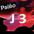 Marie Jay , Miki , Nusantara beat , Morcheeba , Steven'n'seagulls , Gorillaz en concert